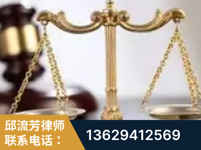 海阳-委托诉讼代理人出庭